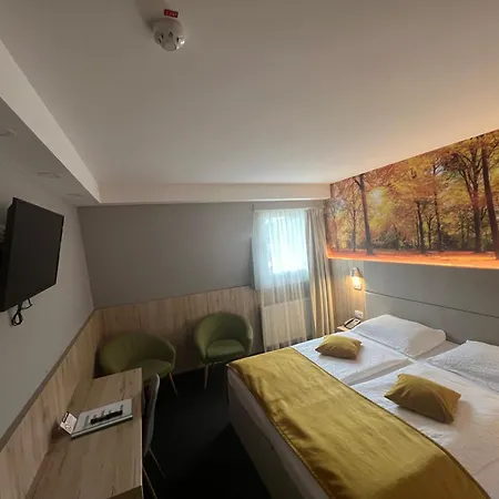 Hotel Alpina-3